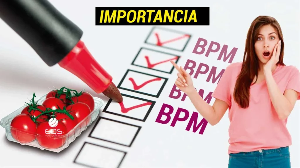 importancia_bpm, eqs, calidad