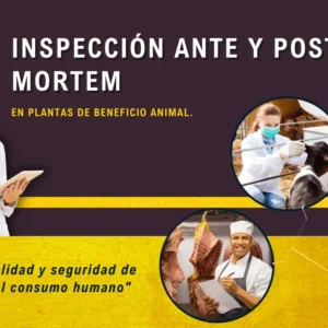 Inspección Ante y Post Mortem en Plantas de Beneficio Animal