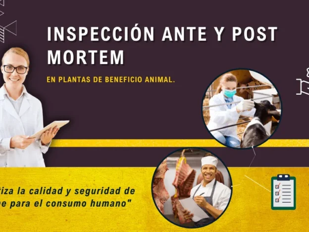 Inspección Ante y Post Mortem en Plantas de Beneficio Animal course image