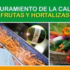 Frutas y Hortalizas - Aseguramiento de la calidad en el Procesamiento