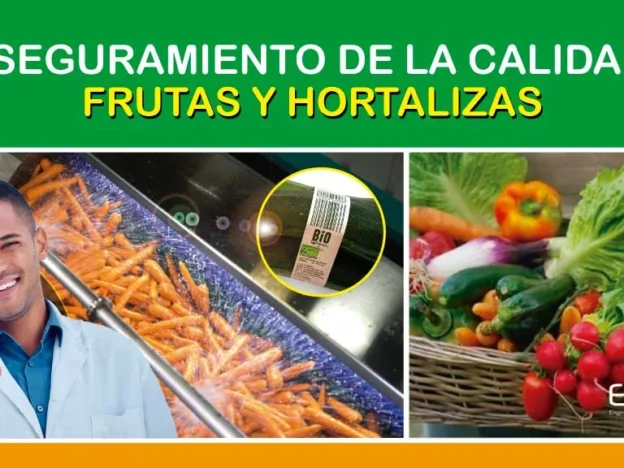 Frutas y Hortalizas - Aseguramiento de la calidad en el Procesamiento course image