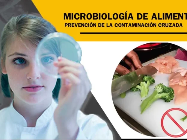 Microbiología de los Alimentos, Características, Deterioro y Normativa Aplicable course image
