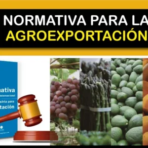 Normativa Nacional e Internacional en la Agroindustria para la Exportación de Alimentos
