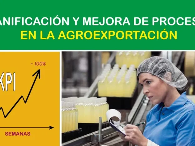 Planificación y Mejora de Procesos en la Agroexportación course image